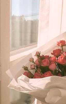 Мир Дорам 🌸