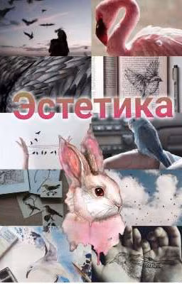 Эстетика фото