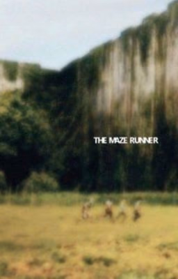 MAZE RUNNER "она это выход»