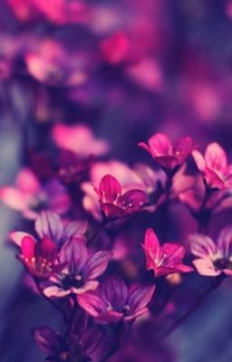 Попытки забыть..