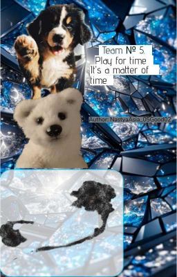 Team №5. Play for time. It's a matter of time.