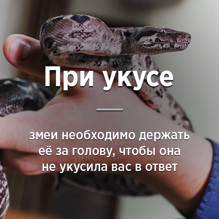 0000371f233d5fa1361c828e0c62ebb0.avif
