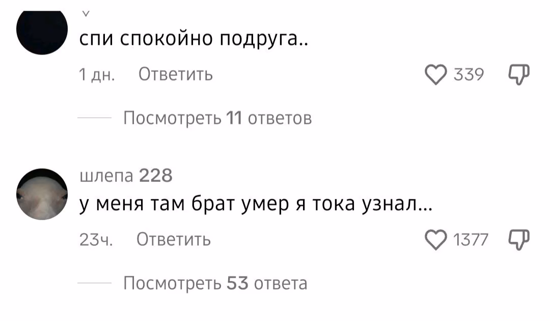 0000ce3a5231ea39189f2d263dbf1dbc.avif