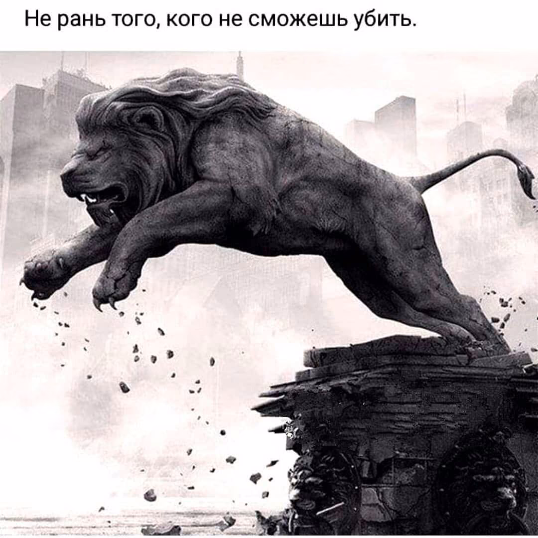 000e247ee87994a7b7dd1daf815d93a3.avif