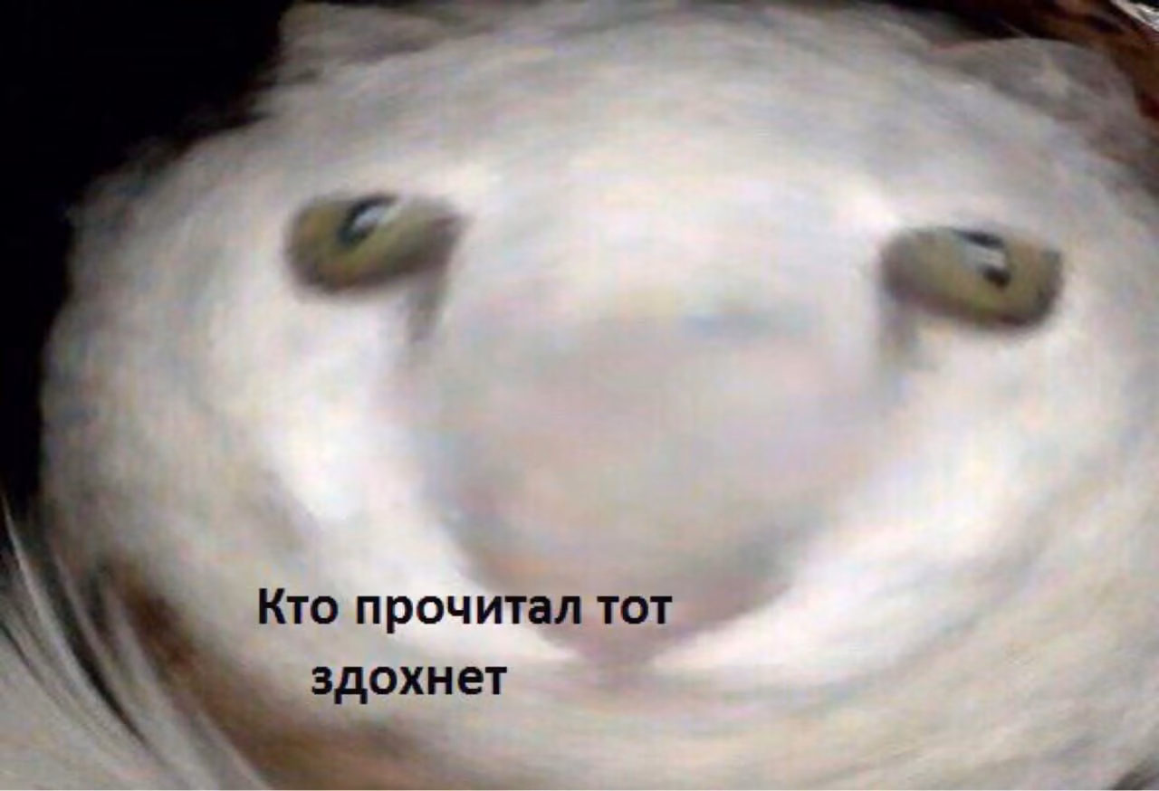 00246b382a31f1f9f22118c93df54c31.avif