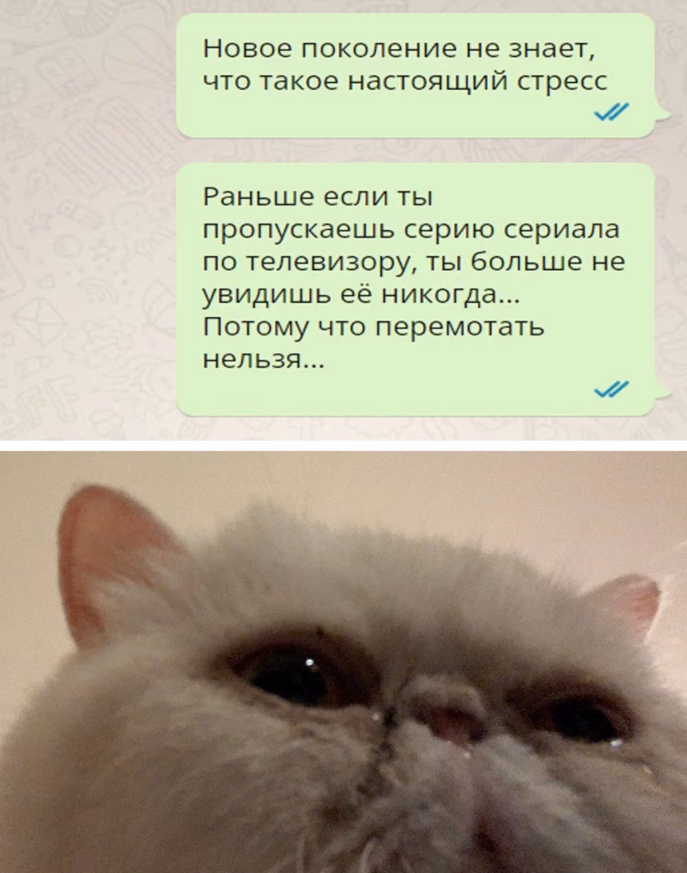 0026d188f86e9bc33e5965611cbbc72f.avif