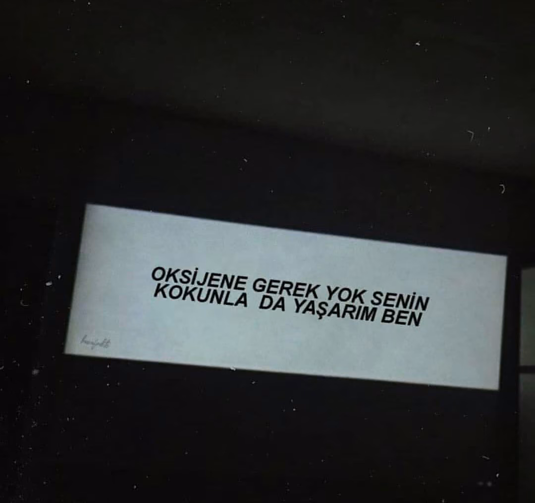 002ba4e98df3c4745c3f58b005b78df2.jpg