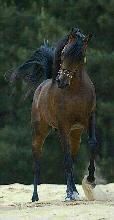 002ea2733e143e2f4b31e99fb124260c.avif