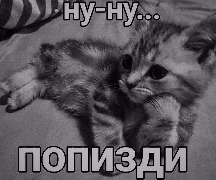 002f8a8dddbd479cd5625311be869d2a.avif
