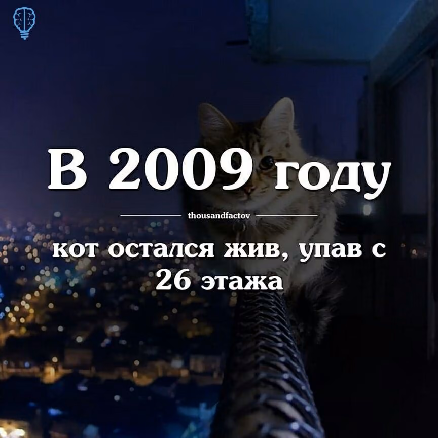 00316e99d491660806a978567b5a1eac.jpg