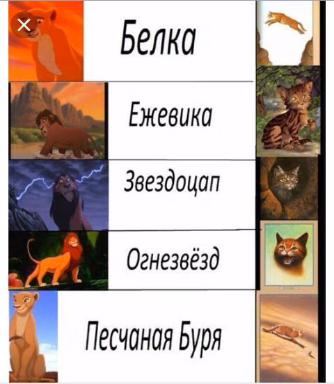 003221173dc73a6db99366a95277ec0a.avif