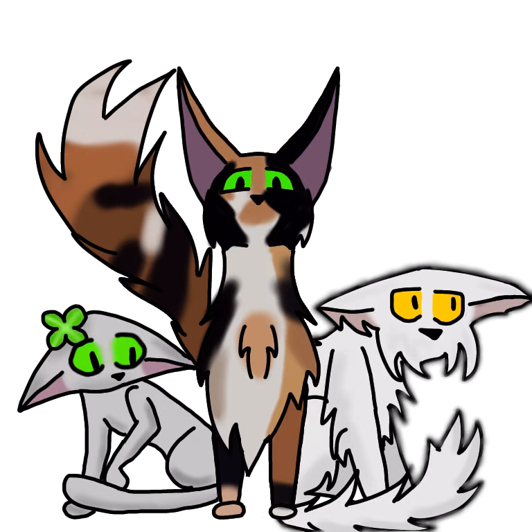 003d9ba483d0bf1d1f4de0b0e85bc531.jpg