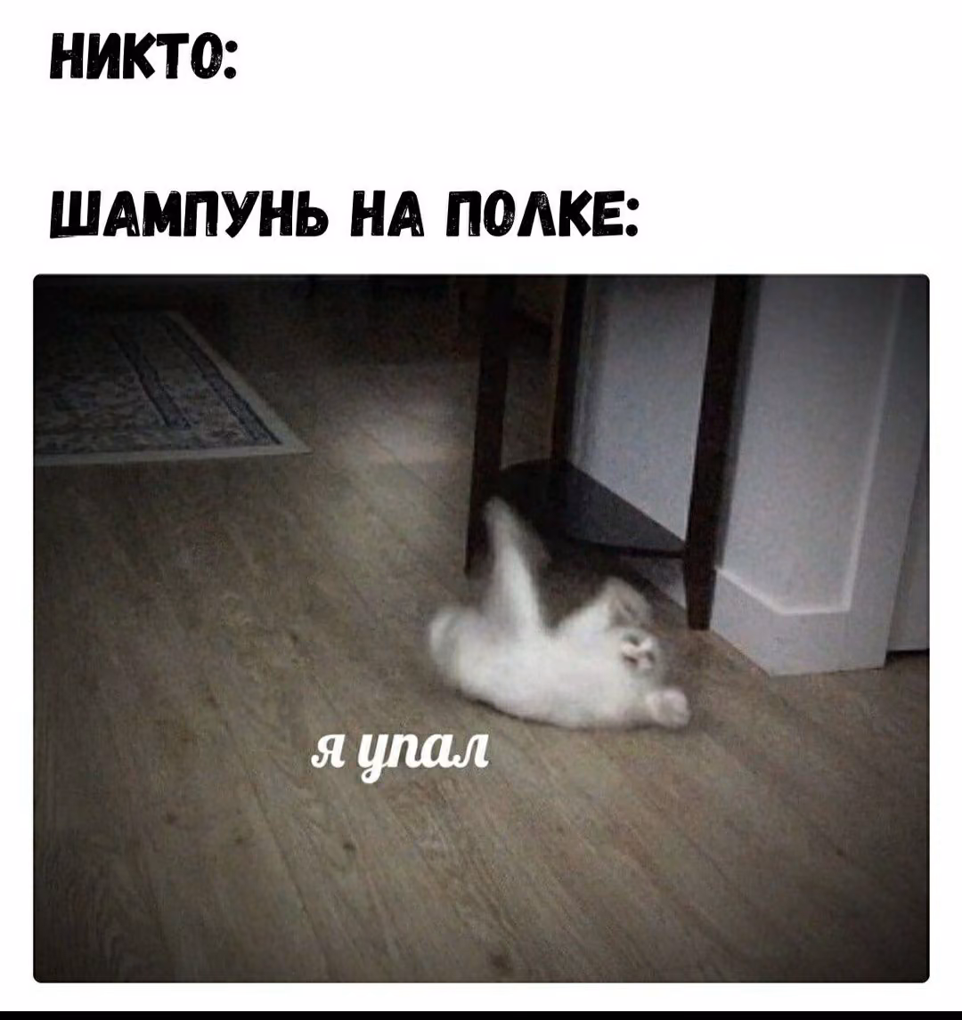 004456fe6ef7c383b1071a2534e8bae9.jpg
