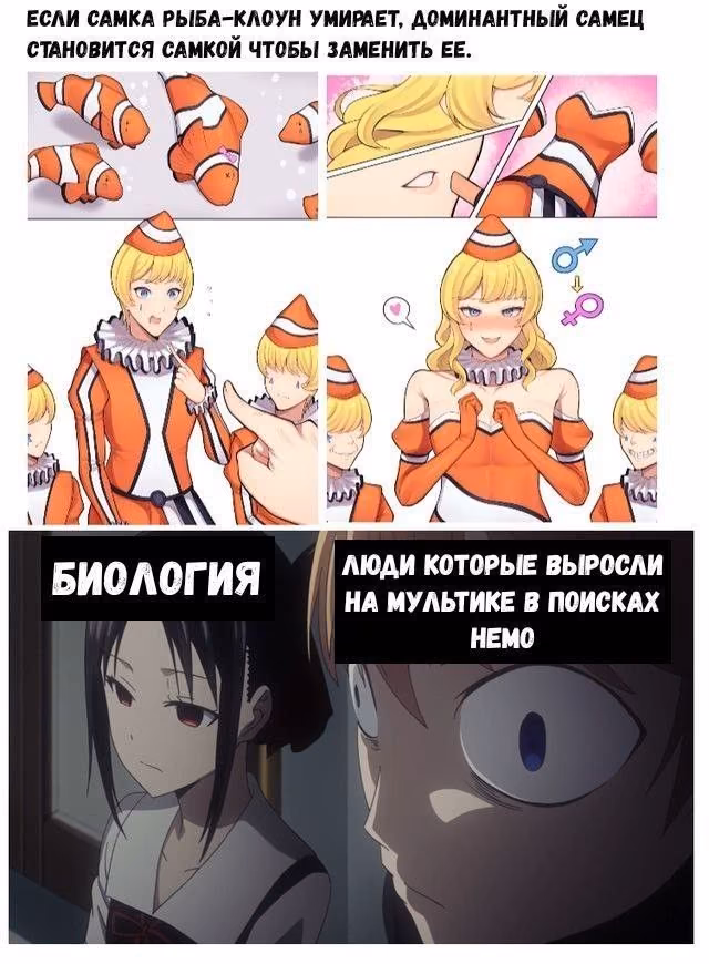004ef1f9fc6cd569d4aa51ab14069946.avif