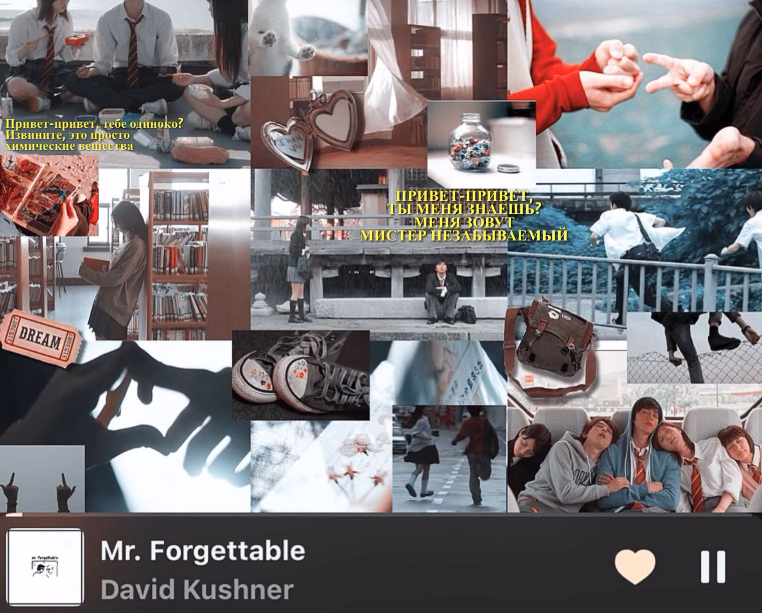 005cf172a4ee1e9e5b272e28541253e0.avif