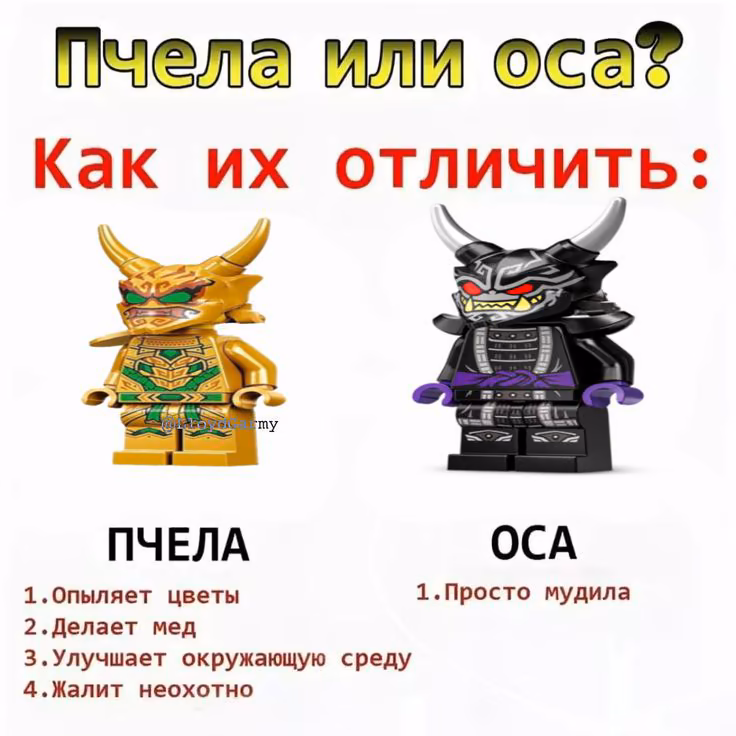 005e3d0ba7e98ee92f6821bab256b355.avif