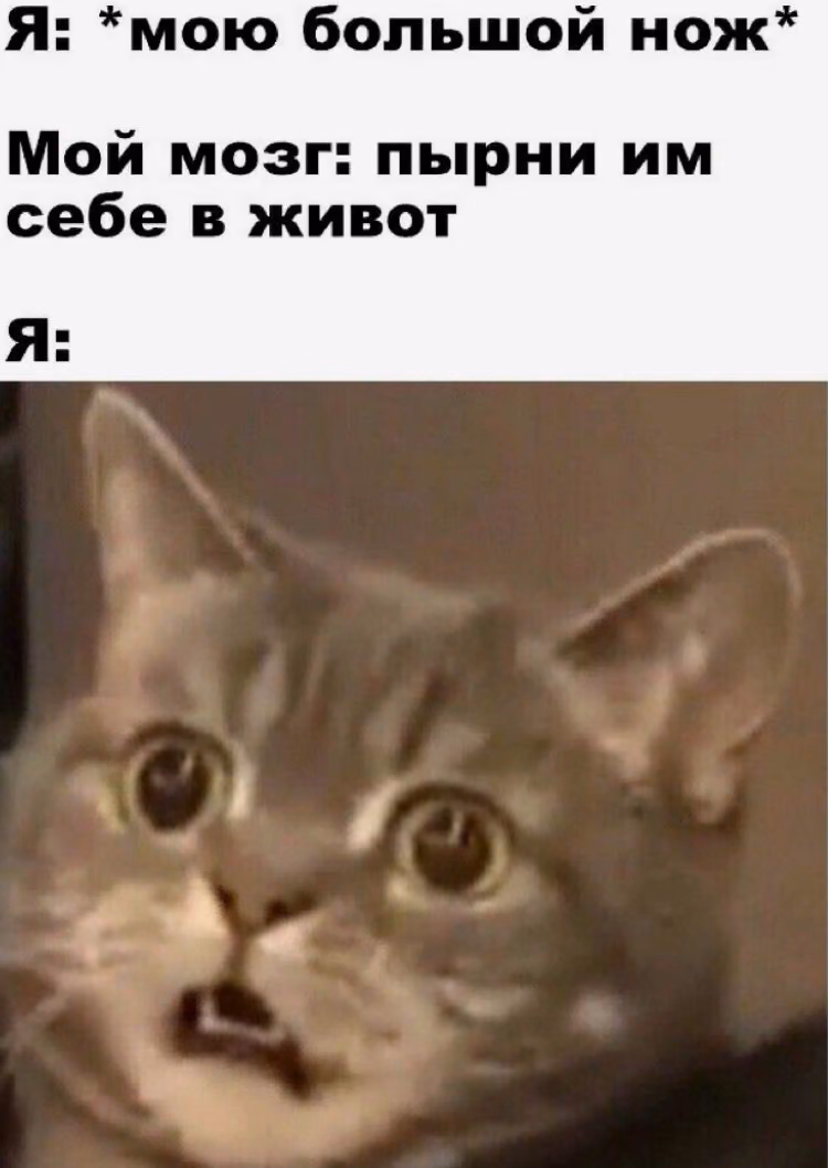 00668dc10b952dedcb2f1c05d1bbd3f6.avif