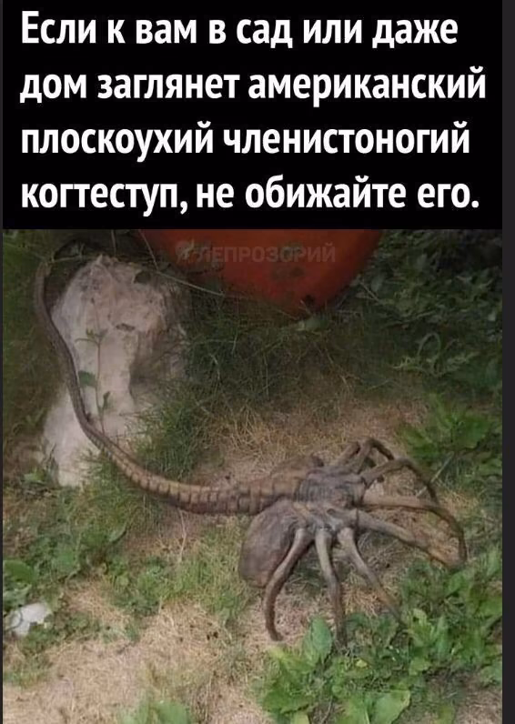 006a29ce2efcd0fb548fa080b5d159c5.jpg