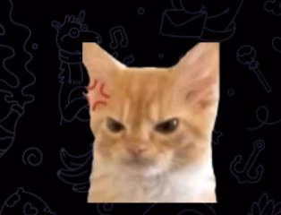 006c1e59b5b98199a730a729b2b20087.jpg