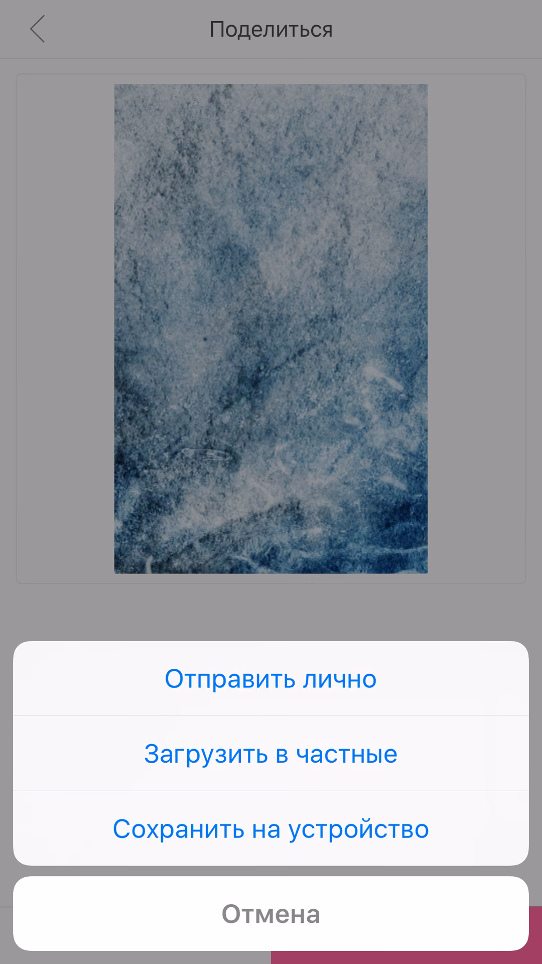 00a293e6114eee1c7efe3503631d5589.avif