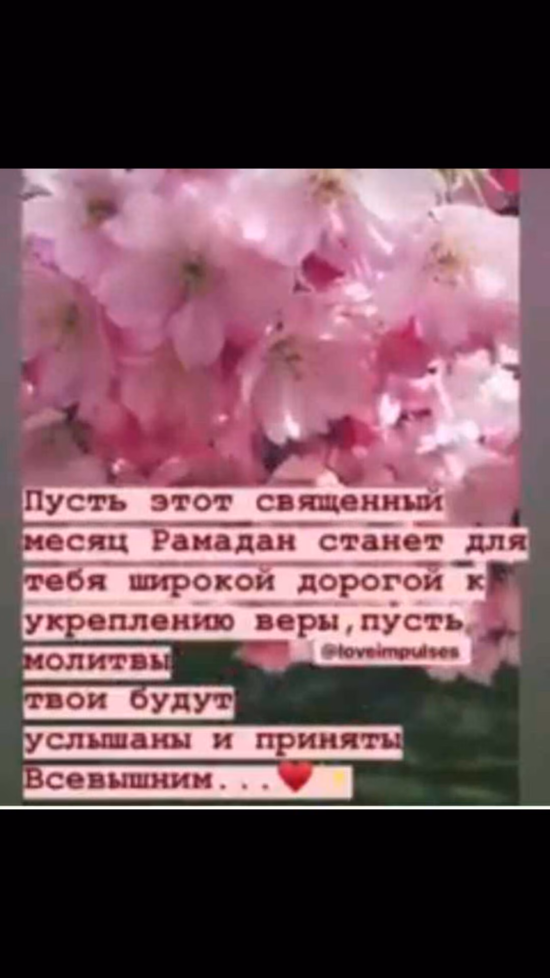 00a464eec3b7a7a7150224c0dfed3392.jpg