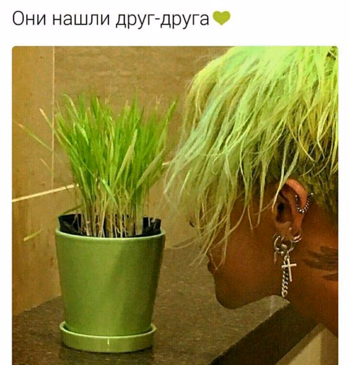 00a678e050959c0759ec503833fa6d83.avif