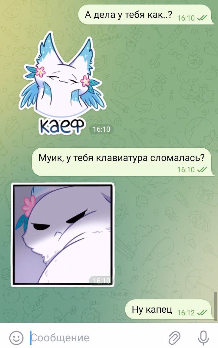 00db5fc5a8a41d43d83da6b67bb8cecc.avif
