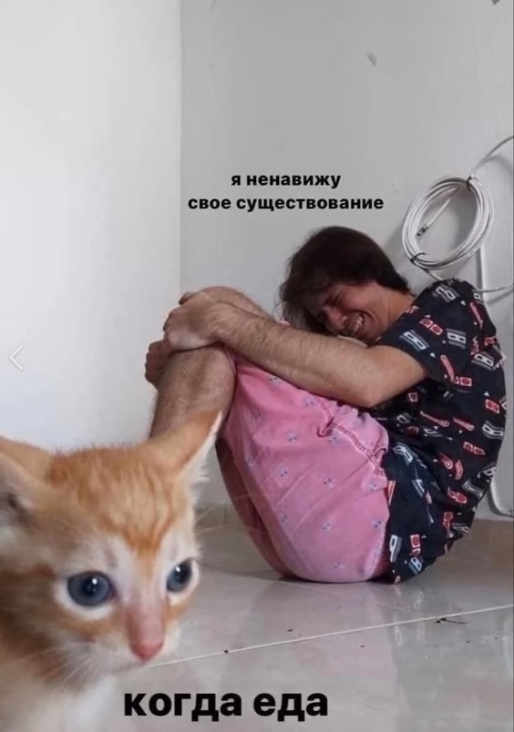 00e0a6a28131c58cff65903a10dfb6ac.jpg