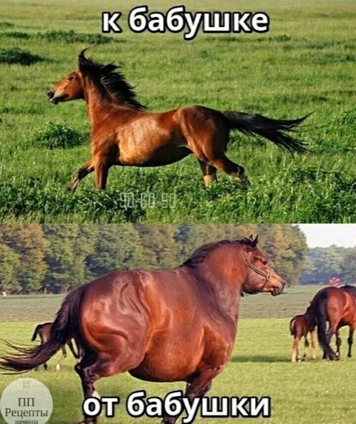 00e5e83f8297882adbb124e25cd22e0f.jpg