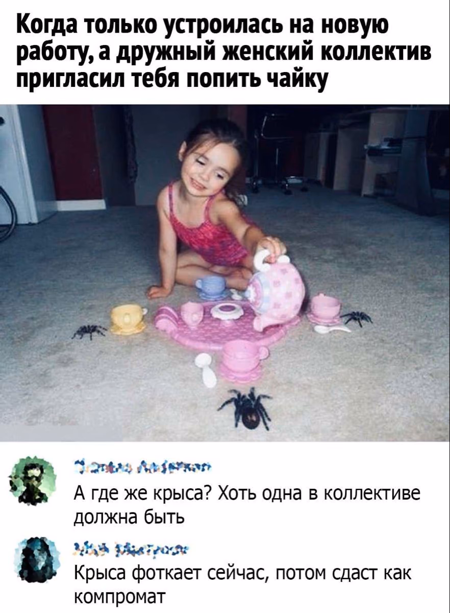 00e6ef8d027f496efec26733e4cb98cc.jpg