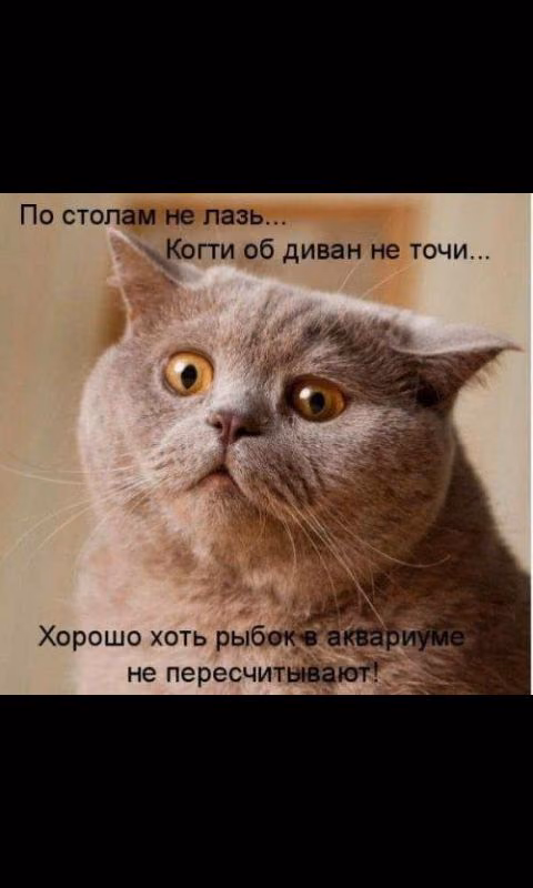 00f160fdc4a5b42f465aaeb233e3d9cf.avif