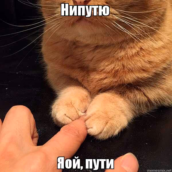 00f6b240539eec3b385a0ffd61f3b2ca.jpg