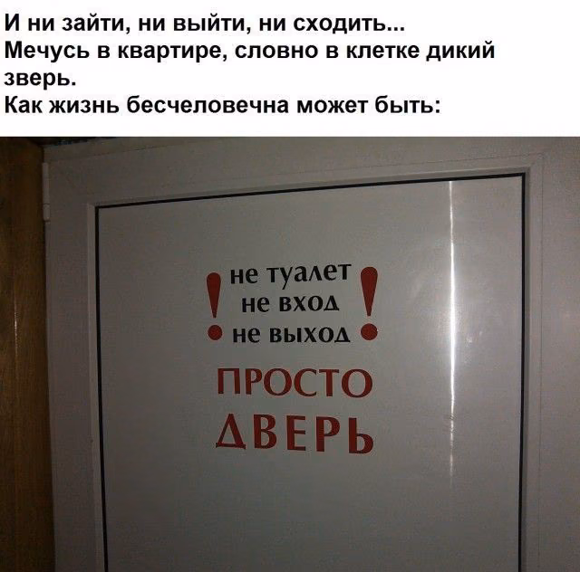 011feccb0014f3e752a77a9807a749cd.avif