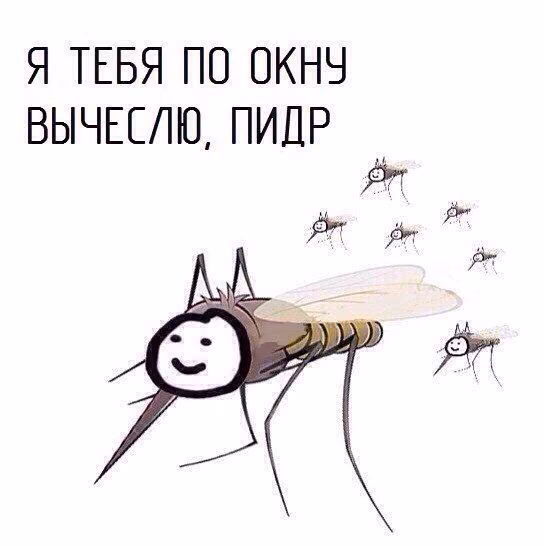 01214af0fe466bb6156d4d036c2b077f.jpg