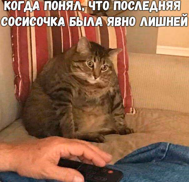 01270b4b208c2970af2b7fd7d3b95fec.jpg