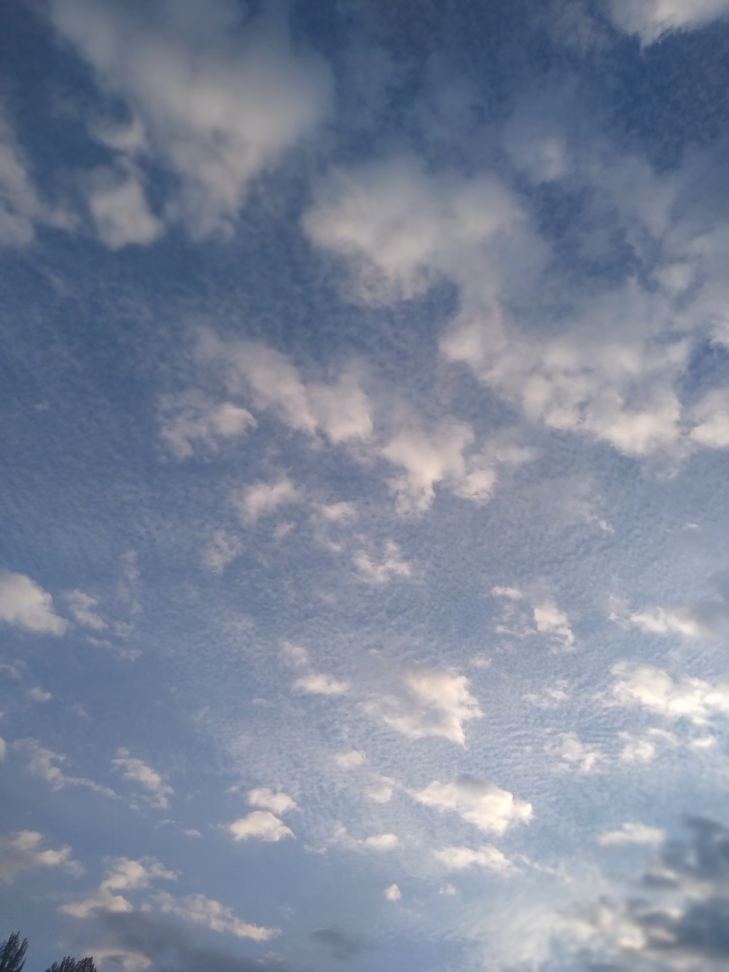 01539ec9bb25b5e848e19dbac89b1f21.jpg