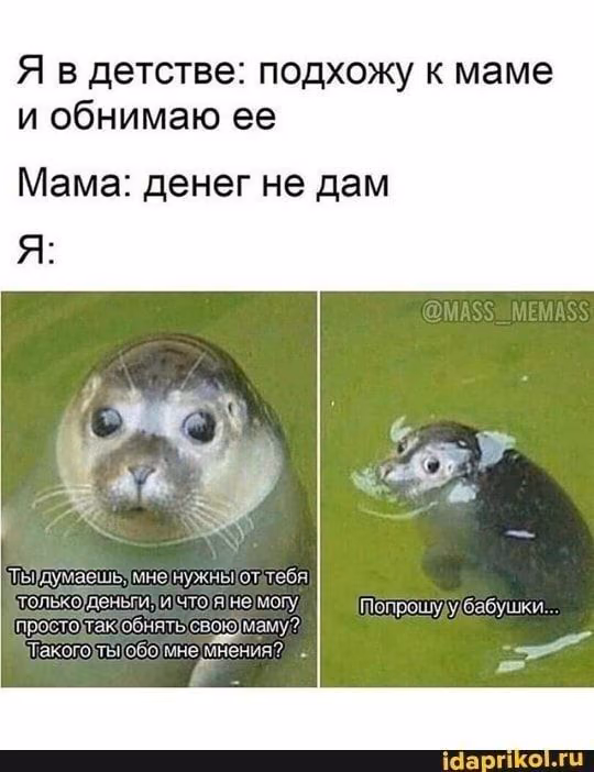 0176c97d834e3aa422d967b8ad35267b.jpg