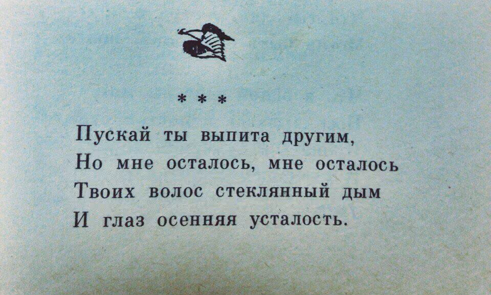 0185a668e2f4b152a42be7739fc0980a.avif