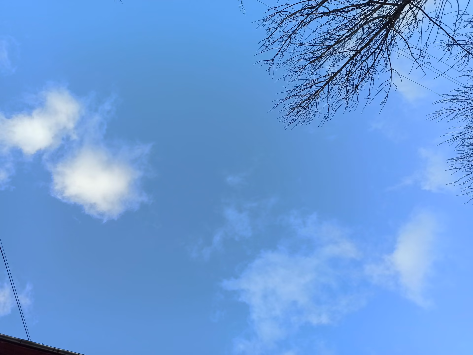 018f009a96c6a6e5dd39d223c0dbc9b2.jpg