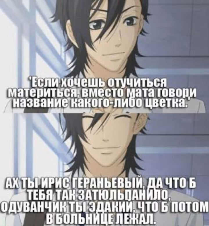 019bf6f3783097a9fa2727d4d25f42ed.avif