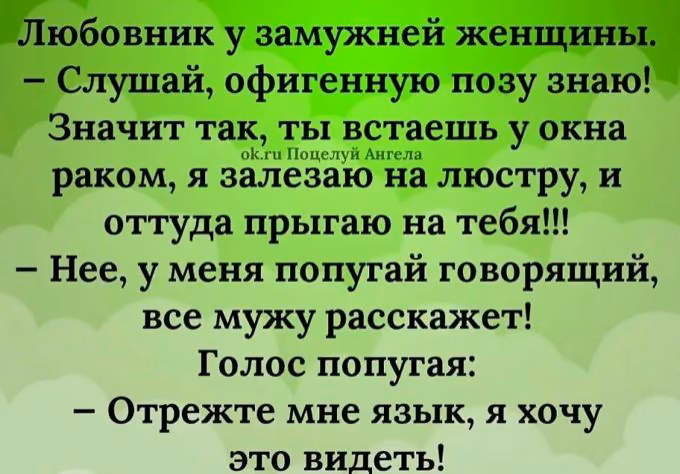 01a0235d4c0795f4ed7117f6db1866e4.avif