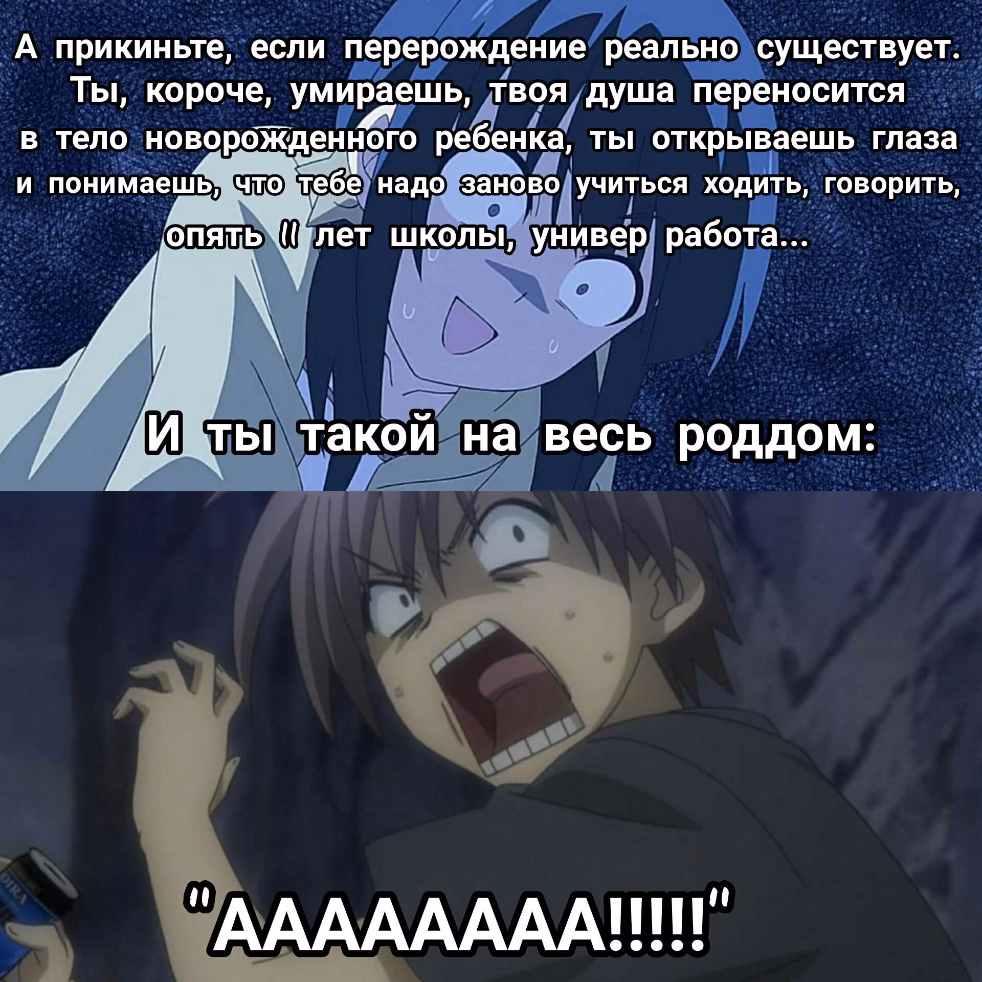 01a93d879c9a2d52db7dda5c788a0dc5.avif