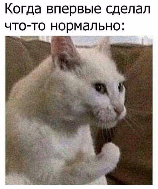 01aadd47922c8a8819be578f984fcadf.jpg