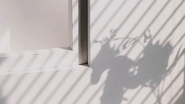 01b44c46c8f2e2e707e81bb3c9e27169.jpg