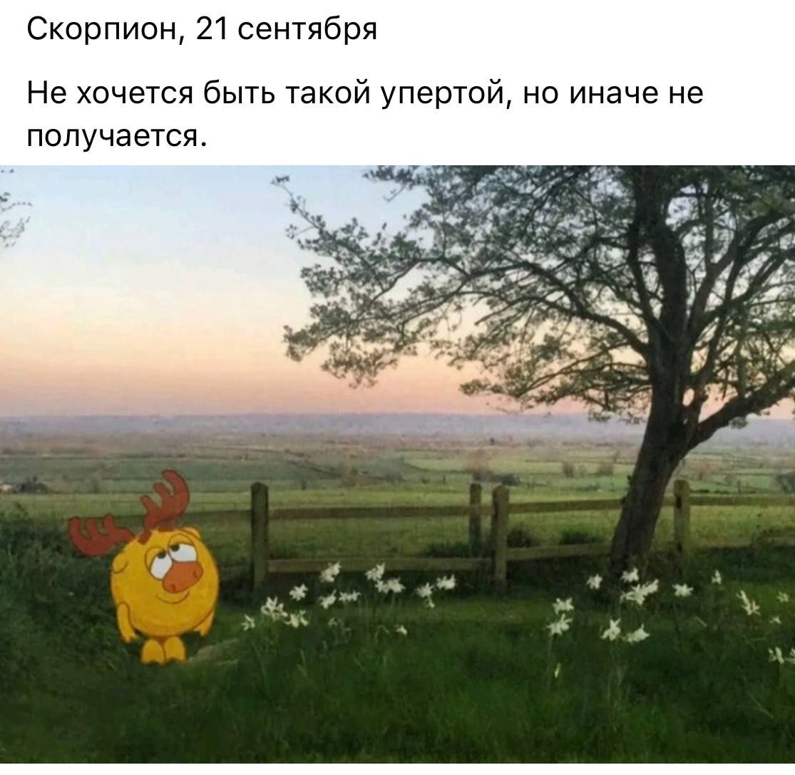 01ff79d547482b6d9b7d054088295f36.jpg