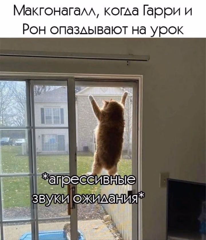 0200bc9a018e28e2750bcb30abdab79e.avif