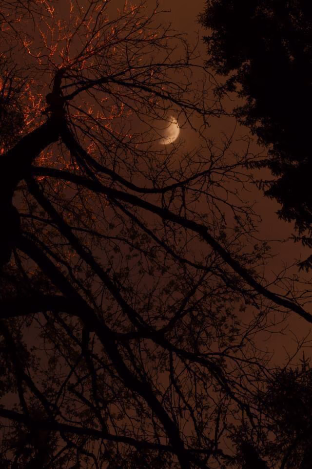02071f65597ed1fe3defaa957052a5cf.avif