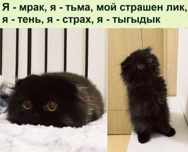 0234fb3f3e0ea3fbb6106819b3a0f59d.jpg