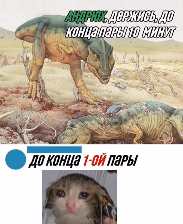 0253c27f175d9099b52b940039fcbd9f.avif