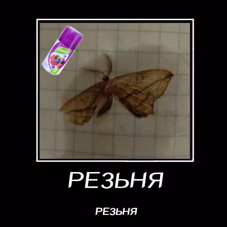 0258635af7236be4c196739227386322.jpg